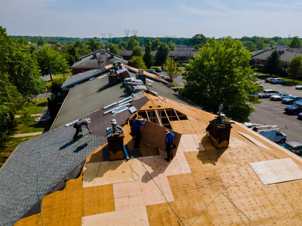Trusted Roof Inspection service in Fort Lee, VA - Brentwood Metal Roofing